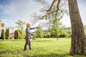 Best Lawn Irrigation Installation and Maintenance  in Crandall, TX