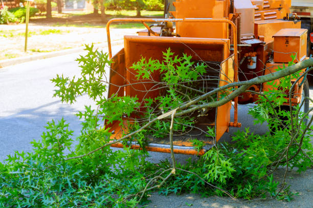 Best Lawn Mowing  in Crandall, TX