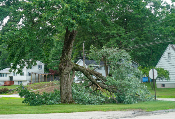 Best Commercial Tree Services  in Crandall, TX