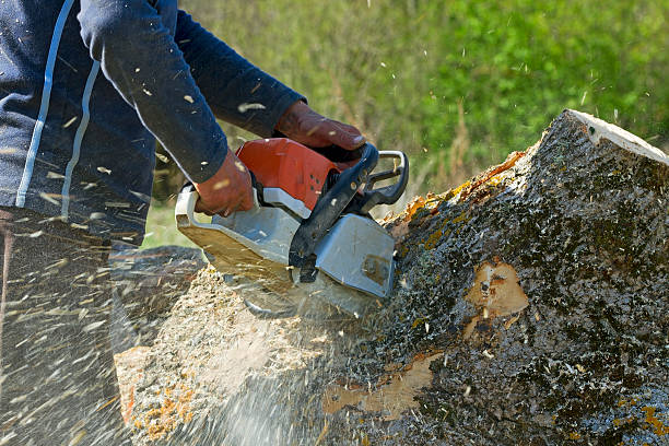 Best Aeration Services  in Crandall, TX